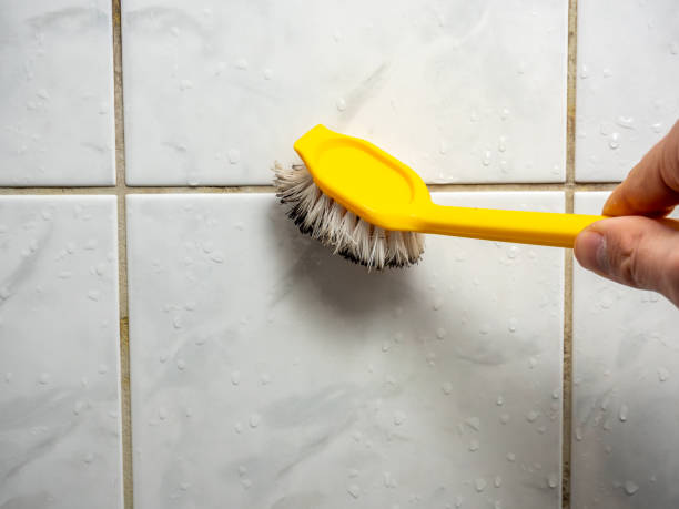 Best Toxic Mold Removal  in Murray, KY