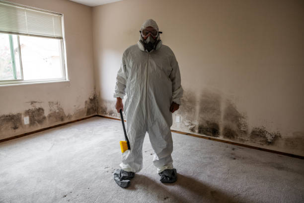 Mold Removal and Inspection in Murray, KY